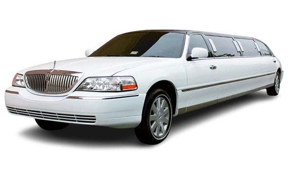 Nottingham White lincoln
